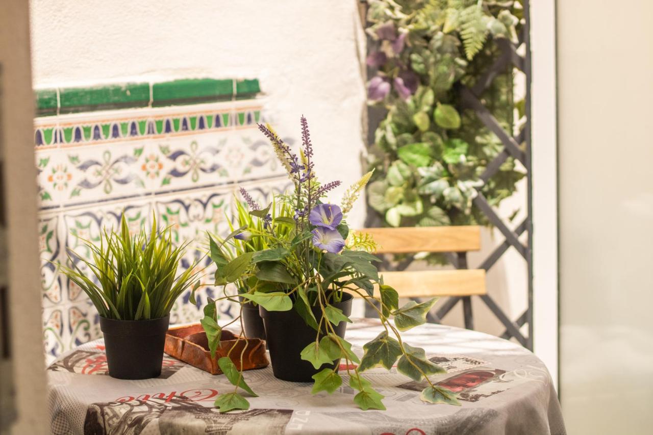 Malaguena Salerosa "Apartamento - Estudio Con Terraza" En Casa Tipica De 1 A 4 Dormitorios Málaga Eksteriør billede